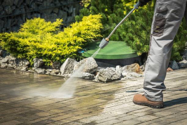 Best Dumpster Area Cleaning  in Tyler, MN