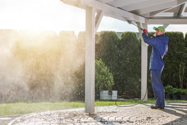 Best Spring Cleaning  in Tyler, MN